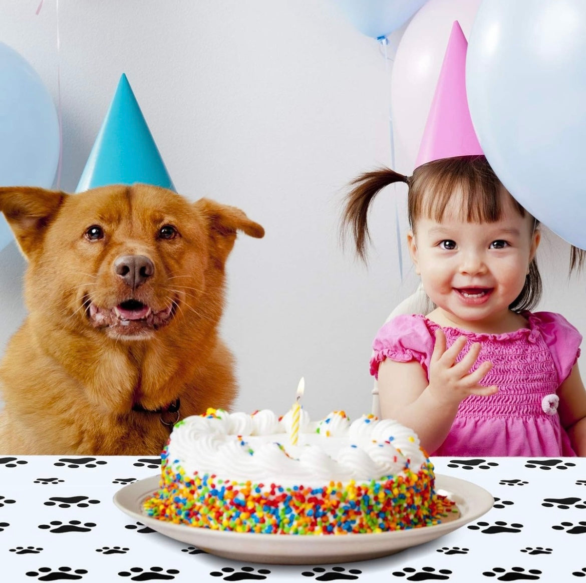 Mantel De Cumpleaños Huellitas De Perro Mascota Cotillón